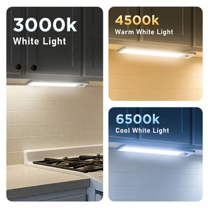 Ronwel™ Intelligent Light PRO